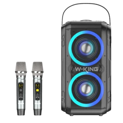 רמקול W King T9-2